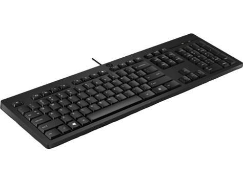 HP 266C9A6 HP 125 USB Wired Keyboard